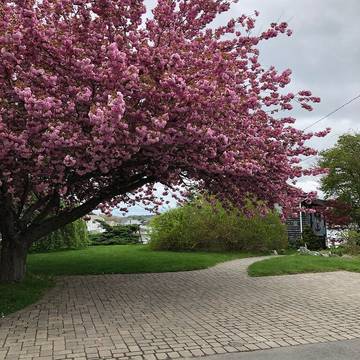 Cabin for 6 Guests in Rhode Island, USA, Picture 2