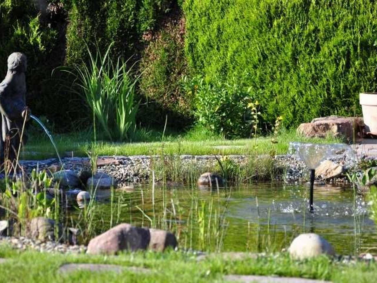 Ganze Ferienwohnung, Ferienwohnung Bramwaldblick mit 2 Schlafzimmern in Hann. Münden, Weserbergland