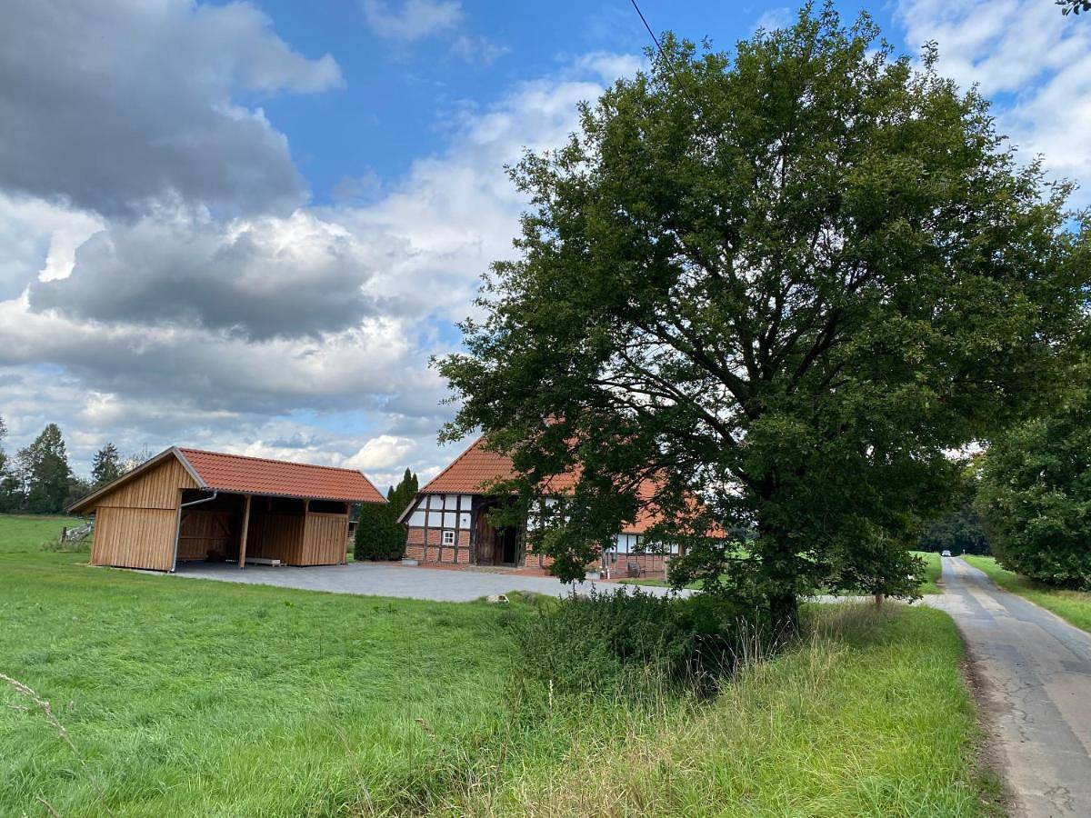Seven-Bedroom House in Badbergen, Hasetal