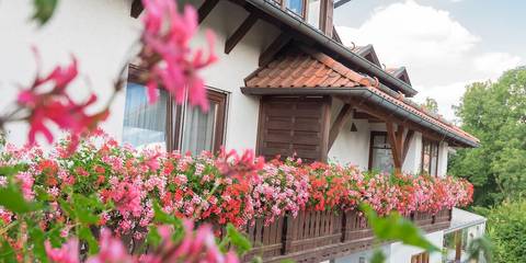 Pension für 2 Personen in Untergriesbach, Ostbayern, Bild 1