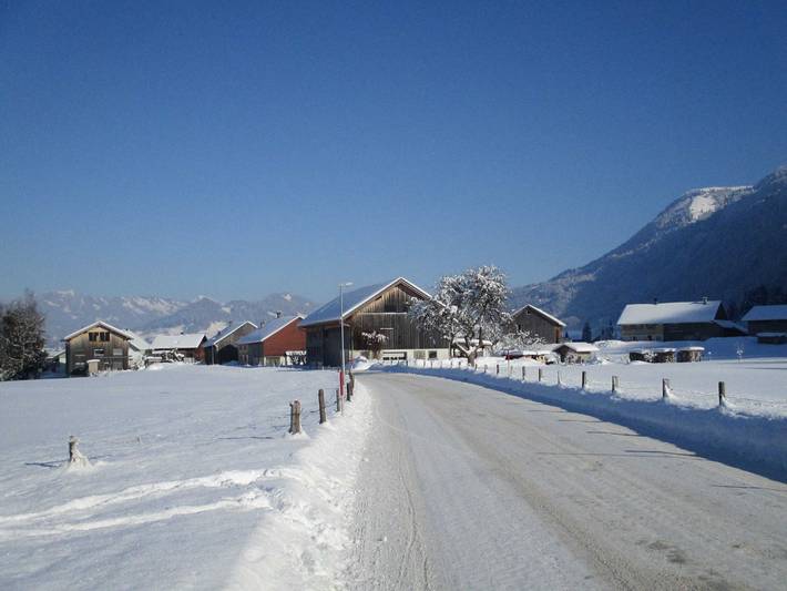 Ganze Ferienwohnung, Apart Greber Bersbuch - Andelsbuch, Bregenzerwald - Schwarzenberg in Bregenzerwald (Vorarlberg), Andelsbuch