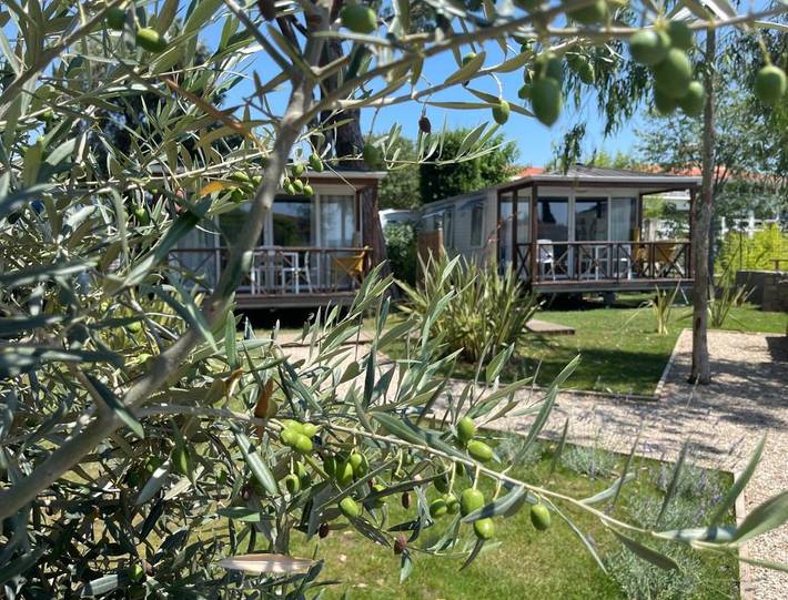 Camping pour 4 personnes, avec Terrasse ainsi que Jardin et Piscine à Mandelieu-la-Napoule