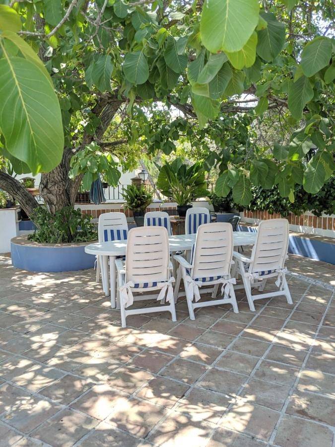 Location de vacances pour 9 personnes, avec vue et jardin ainsi que bassin pour enfant et piscine, animaux acceptés à Baena - 2