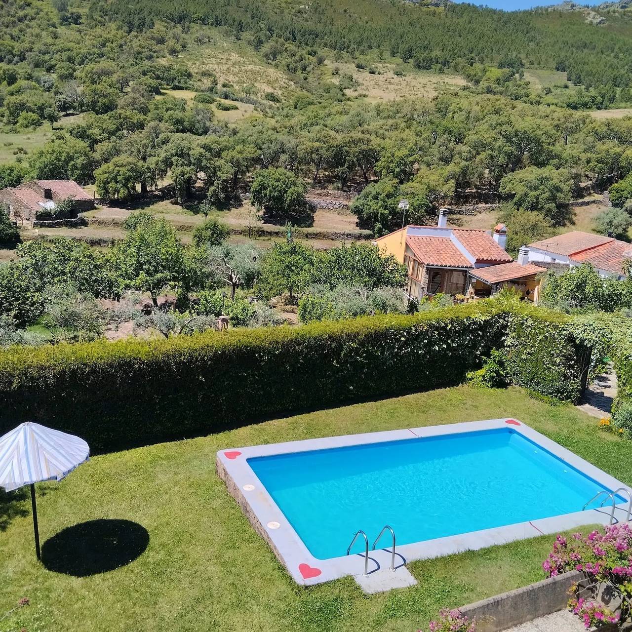 Studio entier, Studio confortable à Valencia de Alcántara 25 m² jardin splendide in Valencia de Alcántara, Région de Cáceres