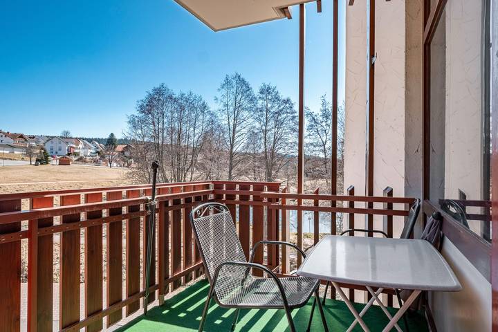 Ferienwohnung für 4 Personen, mit Sauna und Garten, mit Haustier in Schluchsee - 2