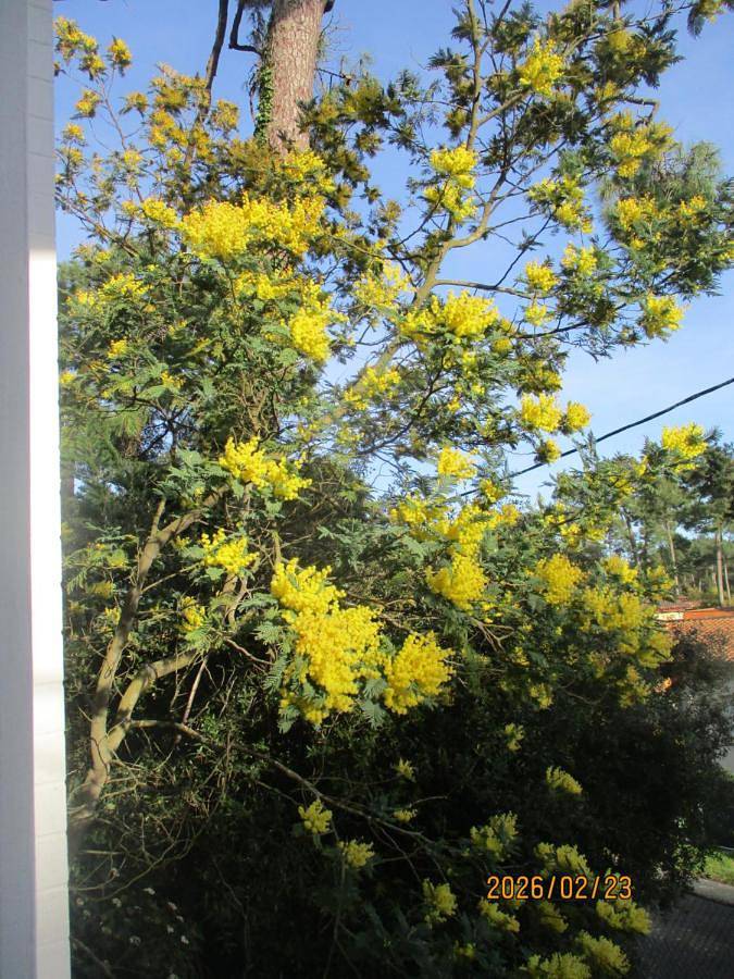 Maison d’hôte pour 6 personnes, avec jardin et vue, animaux acceptés