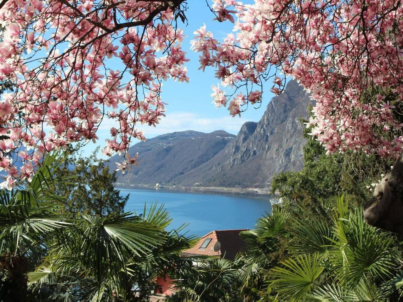 Ganze Wohnung, Garten-Wohnung in Lugano, Luganersee