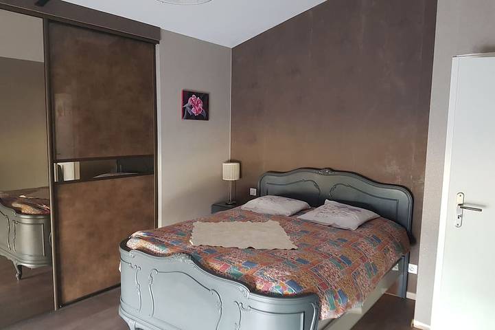 Location de vacances pour 6 personnes, avec jacuzzi ainsi que terrasse et jardin, animaux acceptés à Wettolsheim - 2