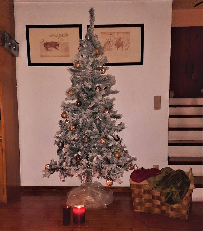 Location de vacances pour 9 personnes, avec vue et jardin, animaux acceptés dans Fão - 2