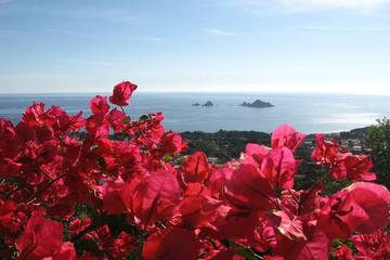 Ferienwohnung für 5 Personen, mit Balkon und Garten in Santa Maria Navarrese