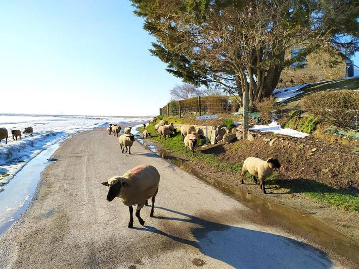 Maison d’hôte pour 5 personnes, avec vue et jardin dans la Manche - 3