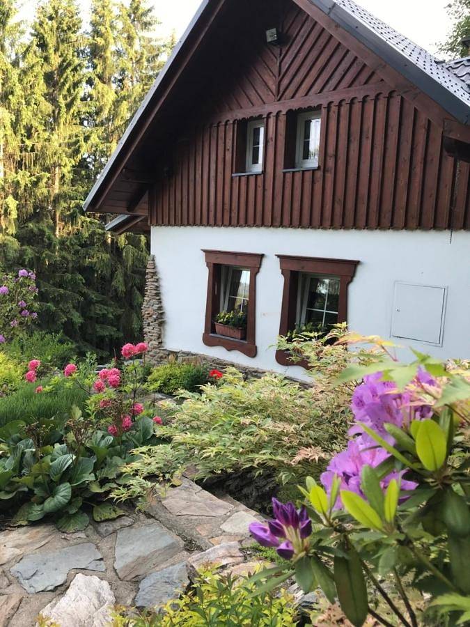 Apartament wakacyjny dla 6 osób, z Taras i Ogród oraz Widok w Paseky nad Jizerou
