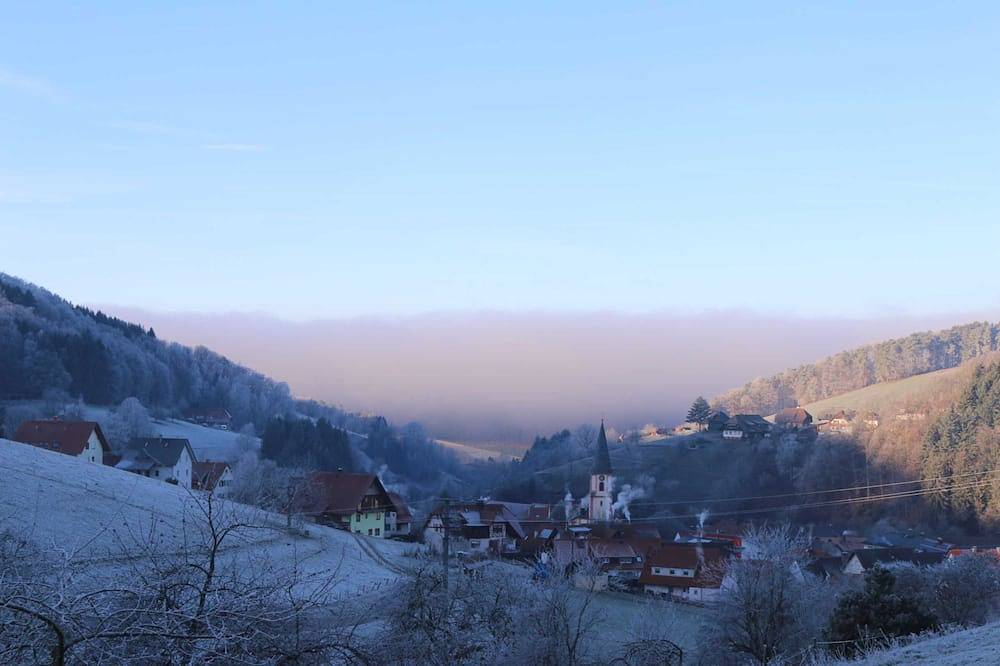 Schwörerhof - Ferienwohnung 70qm, 2 Schlafräume, 1 Wohn-/ Schlafraum in Schuttertal, Hochschwarzwald