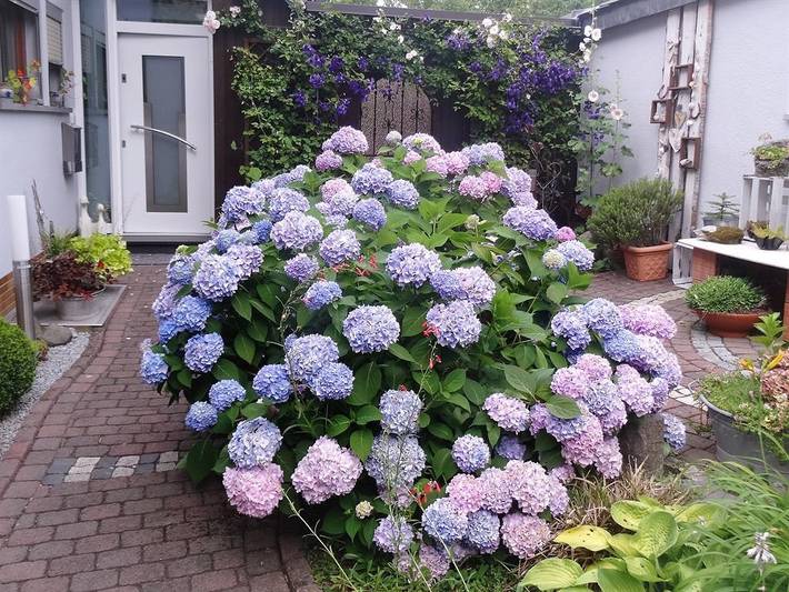 Ferienwohnung für 2 Personen, mit Terrasse und Garten in Hilders - 3