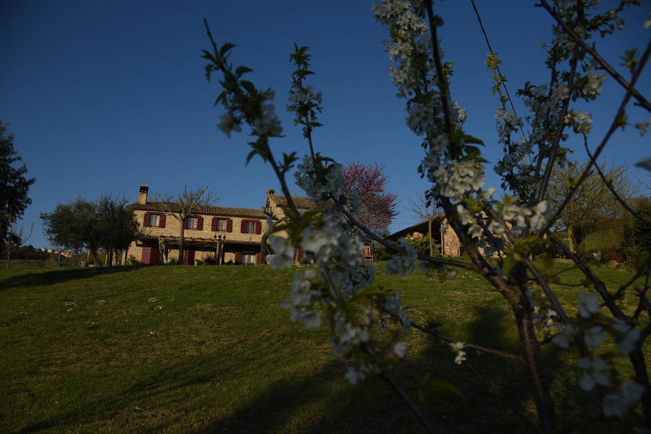 Quelli del Picchio in Cupramontana, Provincia di Ancona