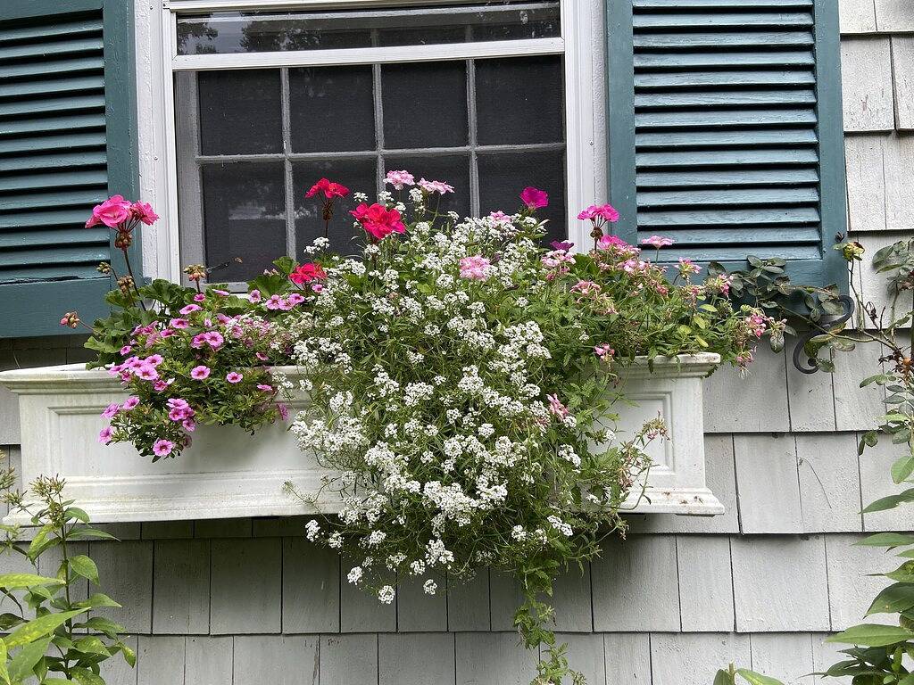 Guest Cottage auf Land Estate- Neu renoviert in Litchfield County