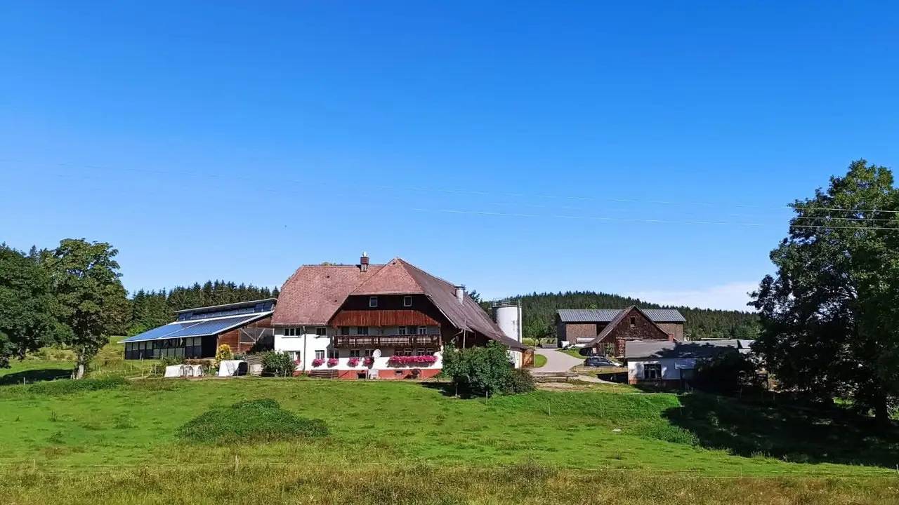 Ganze Ferienwohnung, Ferienwohnung für 5 Personen (50 m²) in Sankt Georgen im Schwarzwald in St. Georgen, Mittlerer Schwarzwald