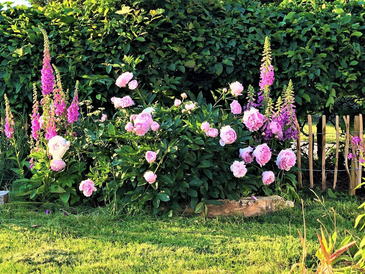 Ganze Ferienwohnung, Ferienwohnung "Frieda" in Suthfeld, Landkreis Schaumburg