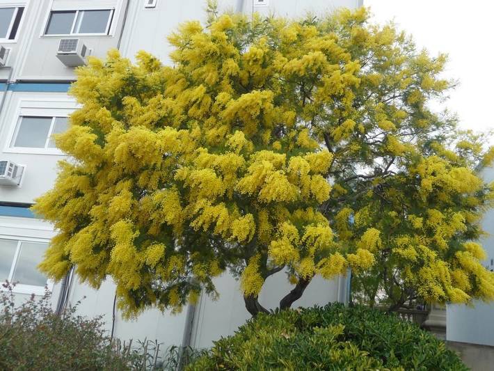 Gîte pour 2 personnes, avec terrasse et vue dans Saint-Roch - 3