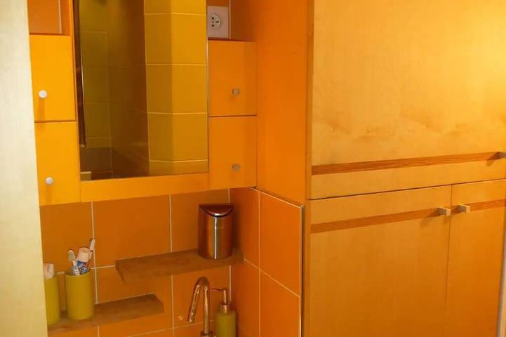 Ganze Wohnung, Charmant 2 Pièces de 40m² en Plein Cœur du Quartier de Belleville in Paris, Ile de France