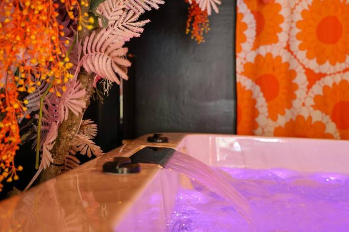 Gîte pour 4 personnes, avec piscine et sauna ainsi que jacuzzi et jardin, animaux acceptés à Marolles (Loir-et-Cher)