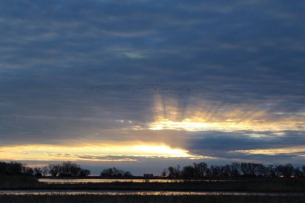 Crane and Nature Lovers Dream - Perfect for Crane Viewing! in Nebraska