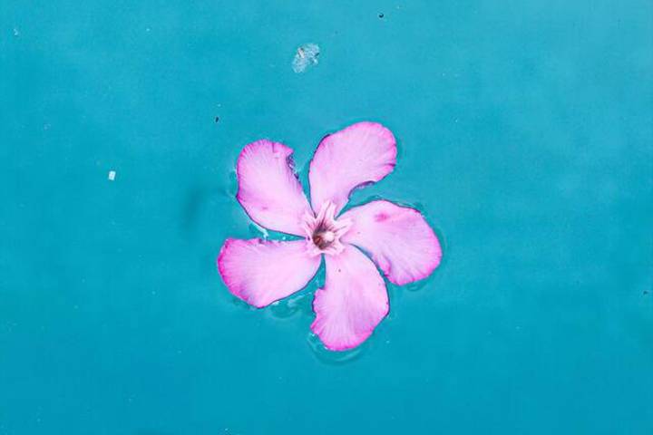 Location de vacances pour 10 personnes, avec jardin et piscine, adapté aux familles à Vila Nova de Gaia - 3