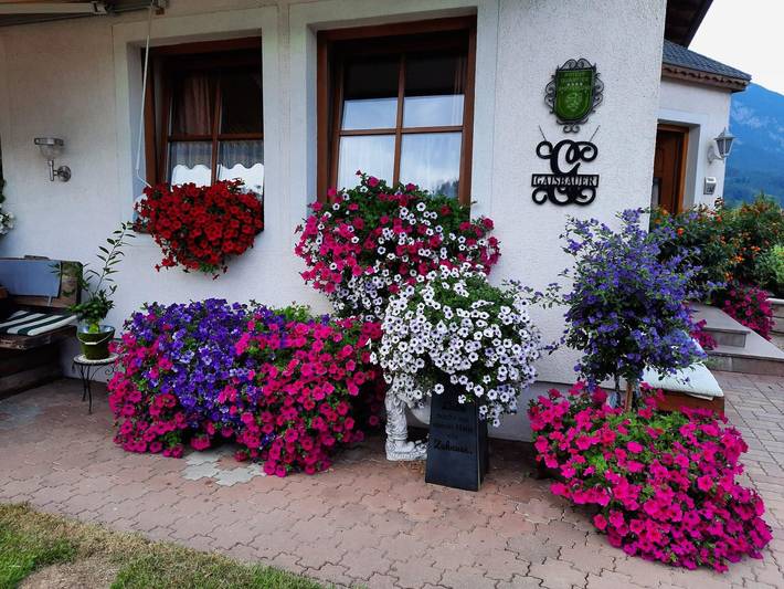 Ferienwohnung für 2 Personen, mit Balkon und Terrasse sowie Garten in Dachstein - 4