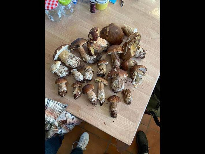 Chambre d’hôte pour 2 personnes, avec vue ainsi que jardin et terrasse dans Parc naturel régional du Haut-Languedoc - 3