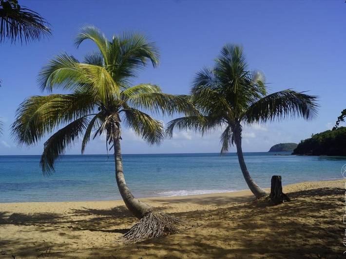 Villa pour 4 personnes, avec vue ainsi que jardin et piscine à Deshaies - 4
