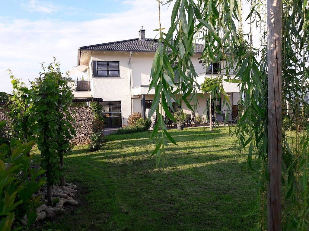 Spätburgunder im Ferienhaus Lehmättle in Sasbach am Kaiserstuhl, Kaiserstuhl