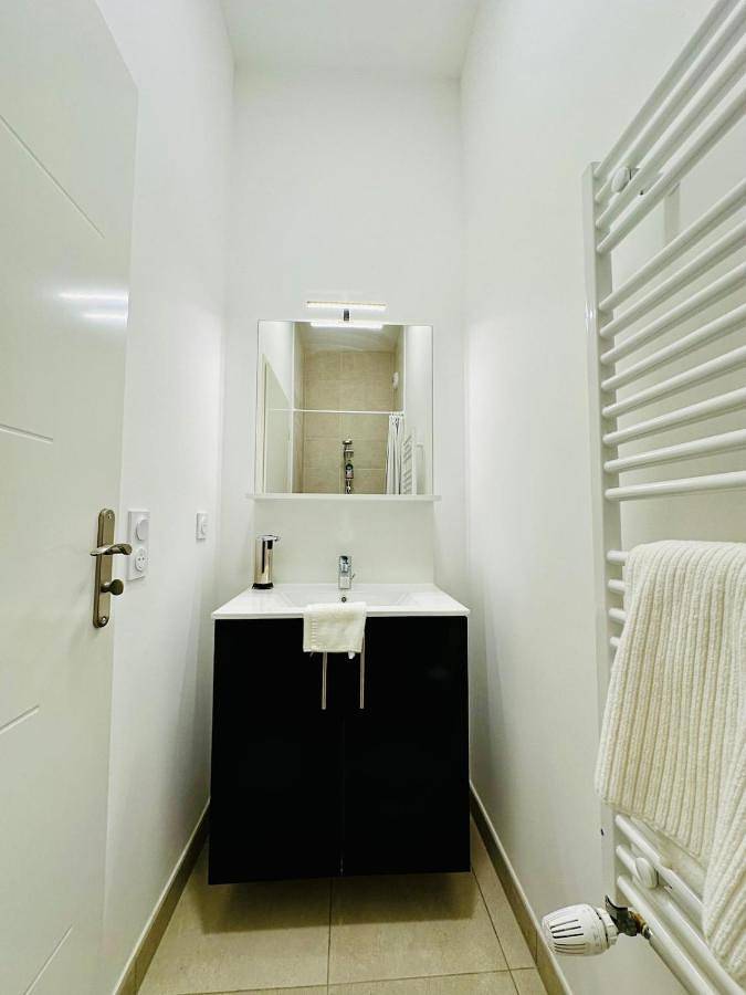 Gîte pour 6 personnes, avec jardin à Villepinte - 4