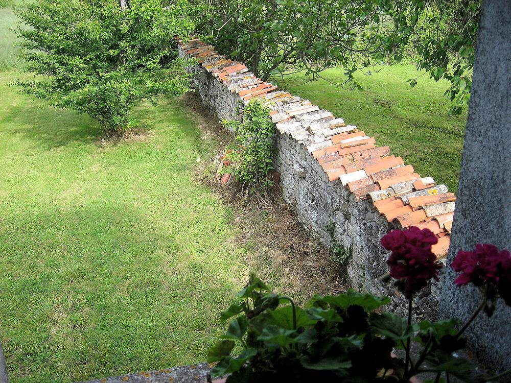 Le Logis des Granges - Le chien in Landrais, Région de Rochefort