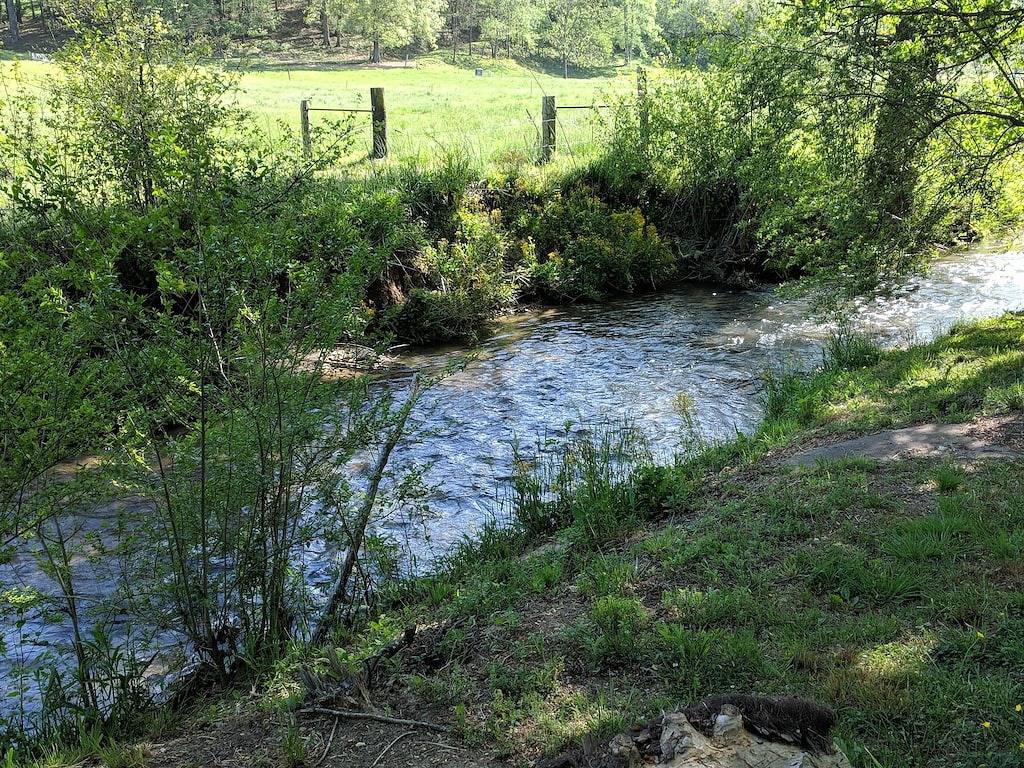 Campingplatz Nr. 1 !! Privates Zeltcamping in der Nähe von Dupont! in Transylvania County