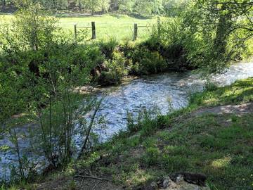 Camping für 4 Personen in Blue Ridge Mountains, North Carolina, Bild 2