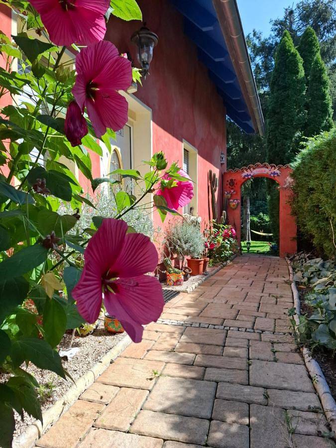 Ferienwohnung für 5 Personen, mit Garten und Ausblick, mit Haustier in Ferch - 2