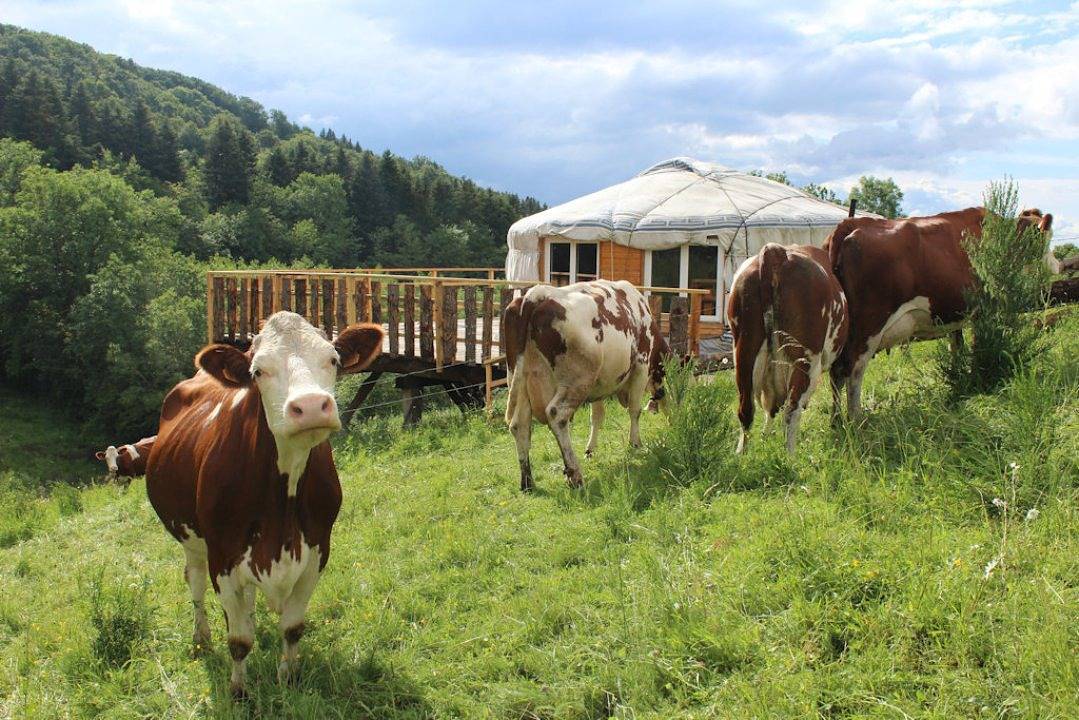 Yourte de charme 2 à 7 personnes in Saint-Sauves-d'Auvergne, Parc naturel régional des Volcans d'Auvergne