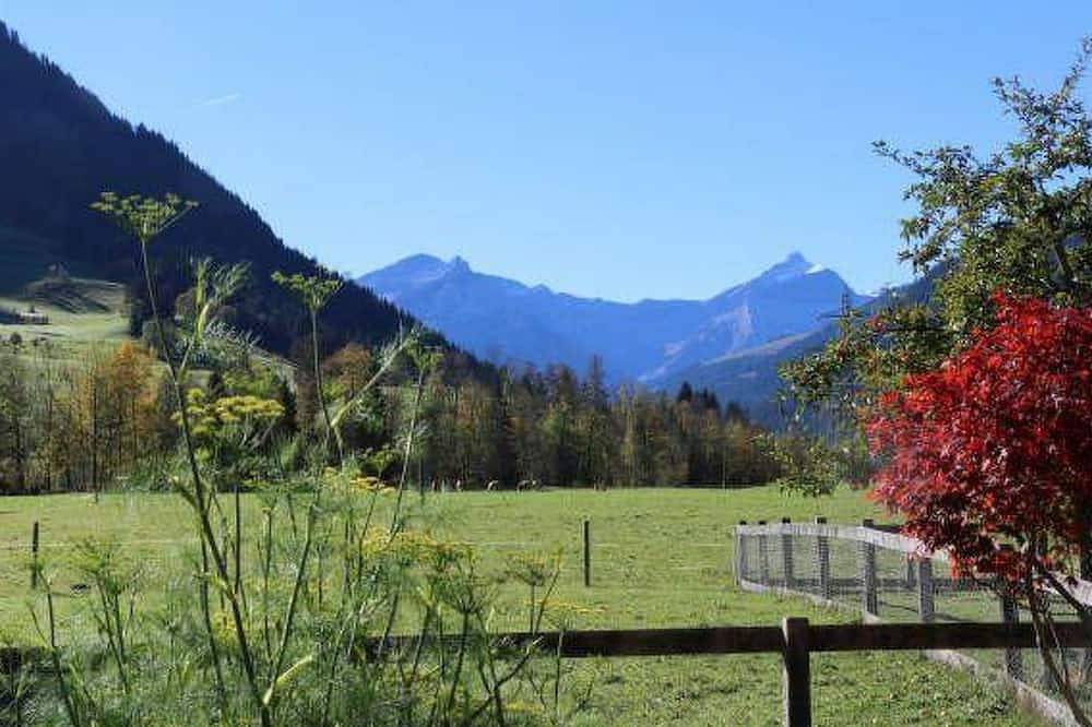 Ganze Wohnung, Baumerhus Appartement/Fewo, Dusche oder Bad, Wc 2-Bettwohnung in Gstaad, Saanen