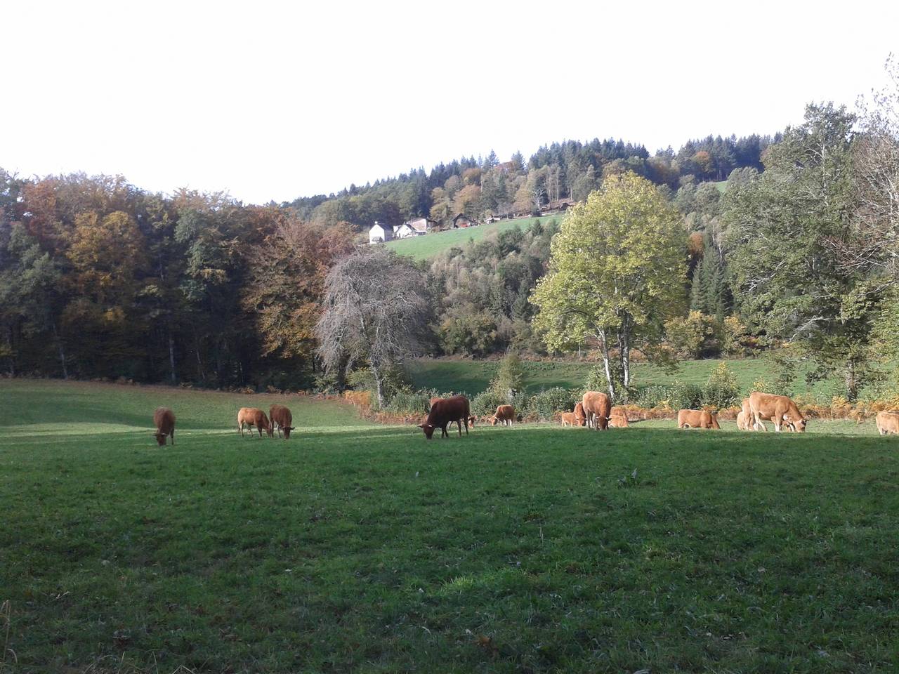 Le Feydel Bas in Palisse, Région d'Ussel