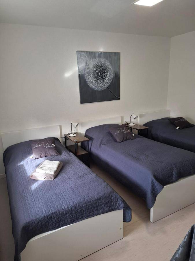 Gîte pour 5 personnes, avec jardin à Baesweiler - 2