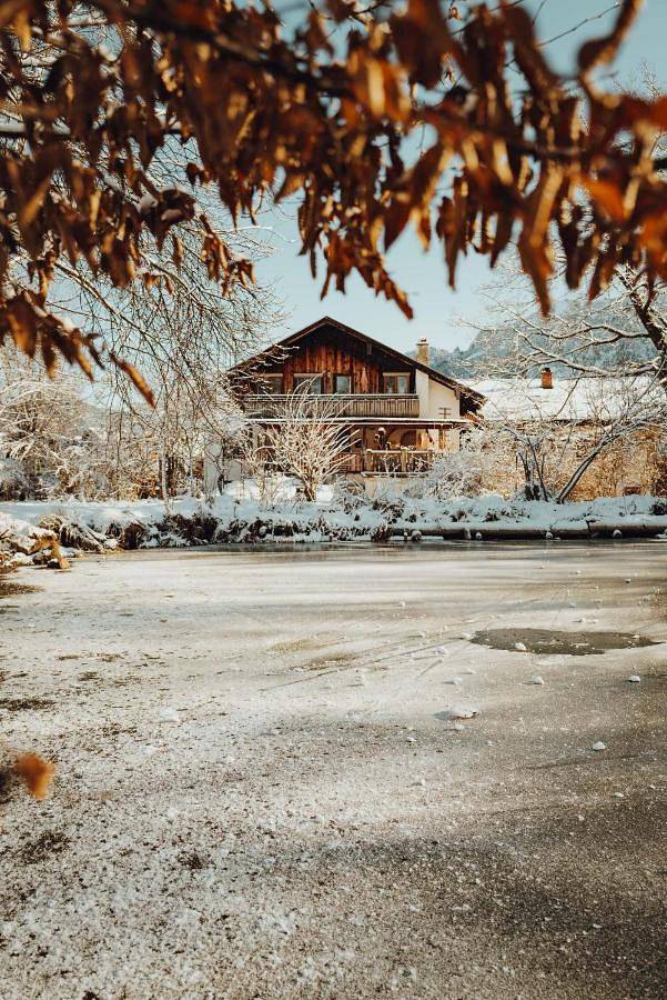 Ferienwohnung für 2 Personen, mit Ausblick, mit Haustier bei Neuschwanstein