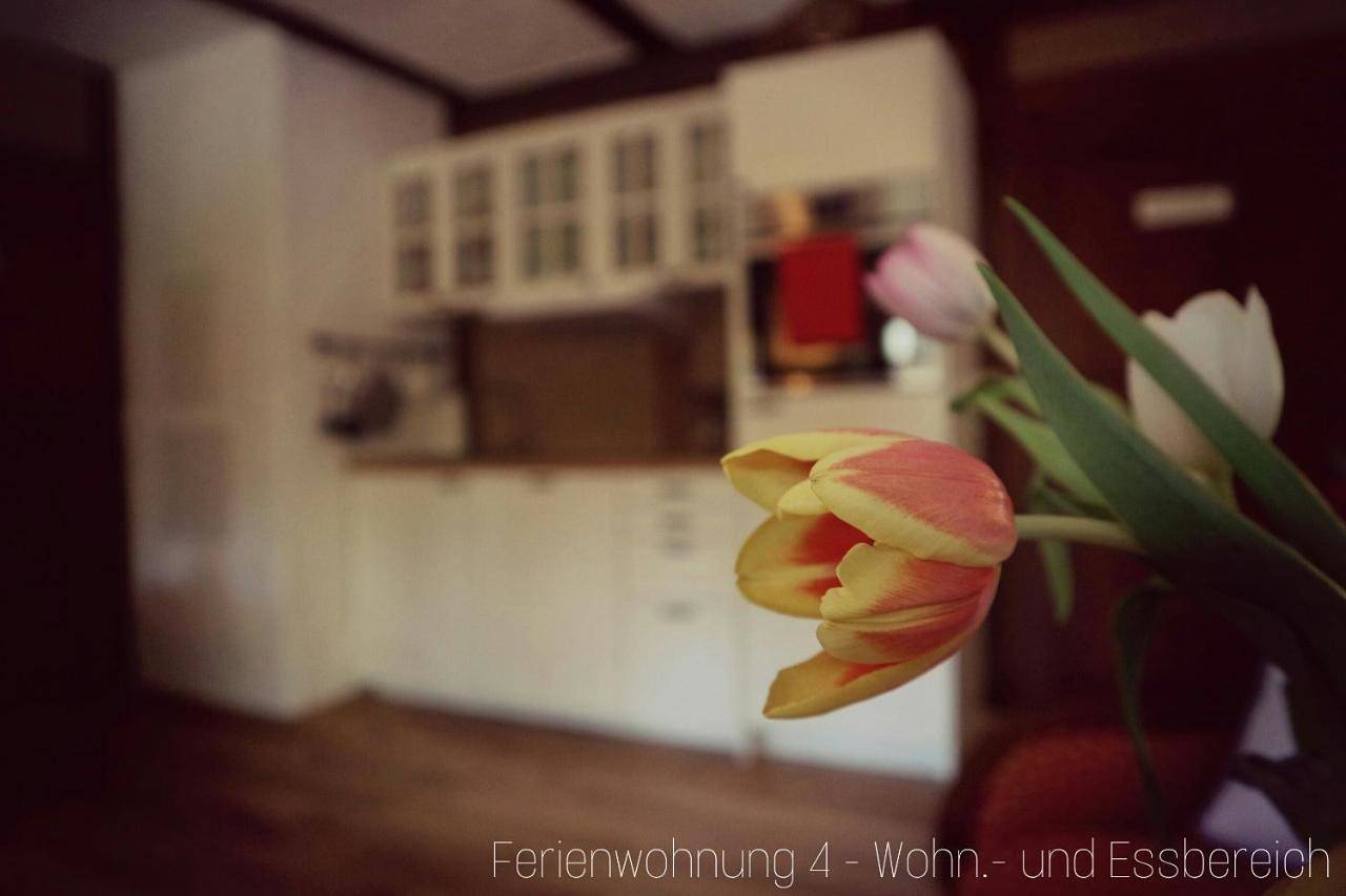 Ganze Wohnung, Apartment Grubenhaus20 in Freiberg, Chemnitz und Umgebung