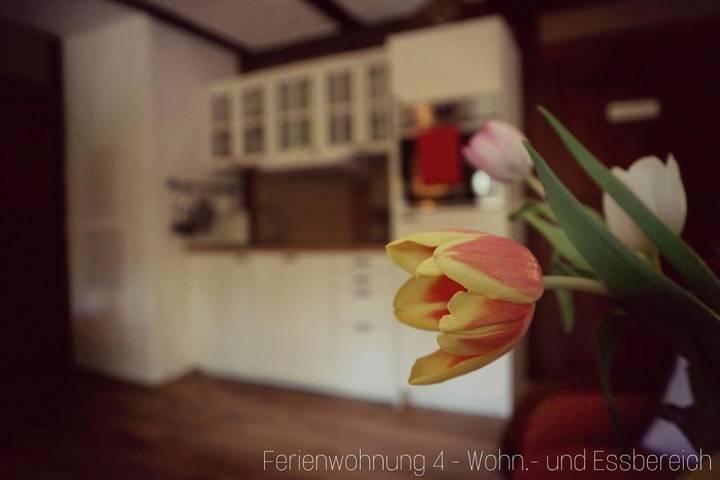 Ferienwohnung für 4 Personen, mit Terrasse in Freiberg - 4