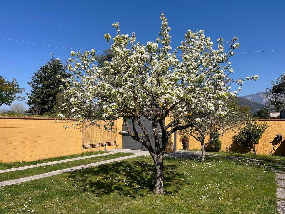 Two-Bedroom House in Marina di Carrara, Carrara