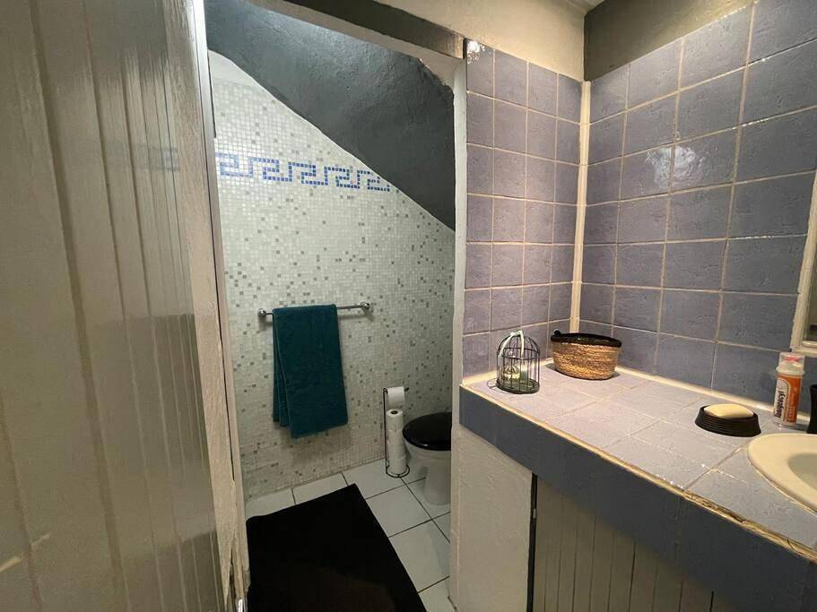 Appartement entier, Grand studio avec piscine au coeur du village in Le Puy-Sainte-Réparade, Région d'Aix-en-Provence