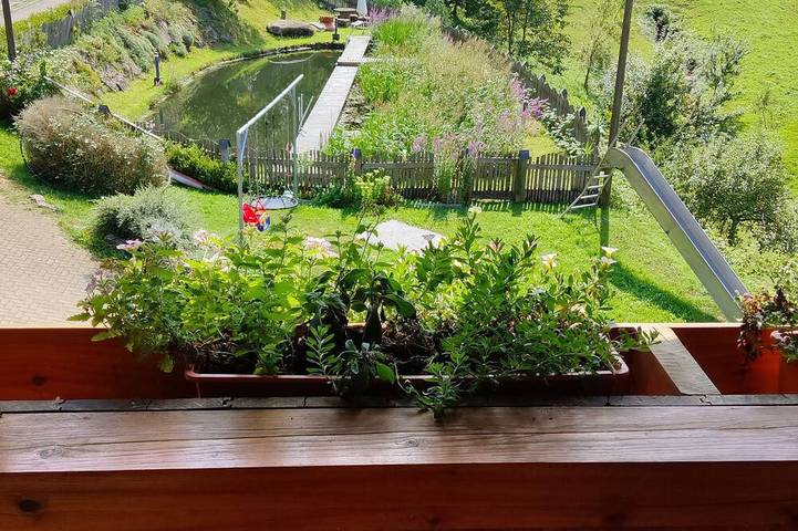 Bauernhof für 3 Personen in Schuttertal - 2