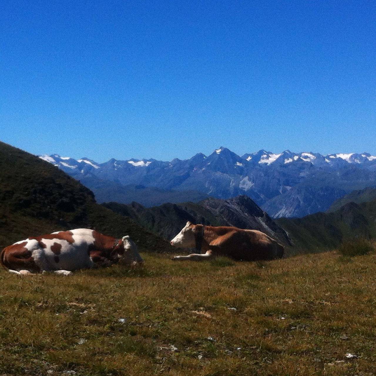 Ganze Ferienwohnung, Appartement Tribulaunblick in Holzebensiedlung, Schmirn