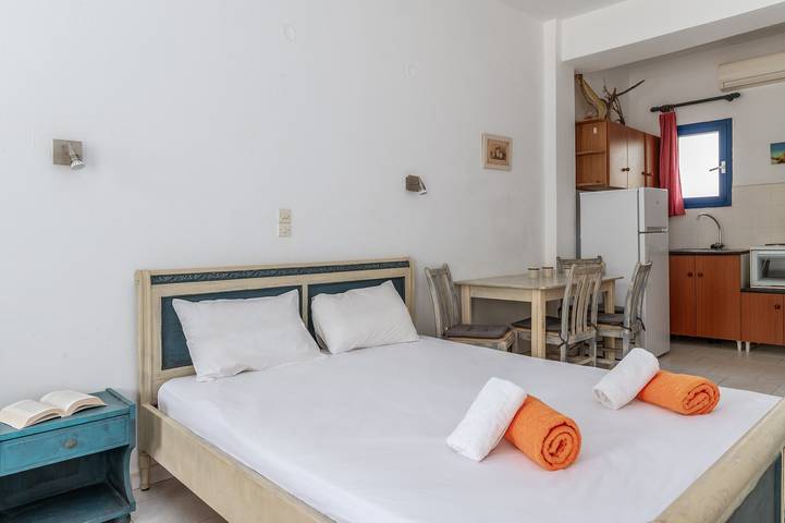Location de vacances pour 4 personnes, avec balcon et jardin dans Andros - 4