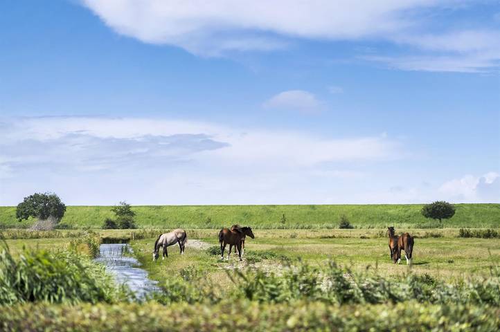 Ferienhaus für 4 Personen, mit Terrasse in Højer - 2