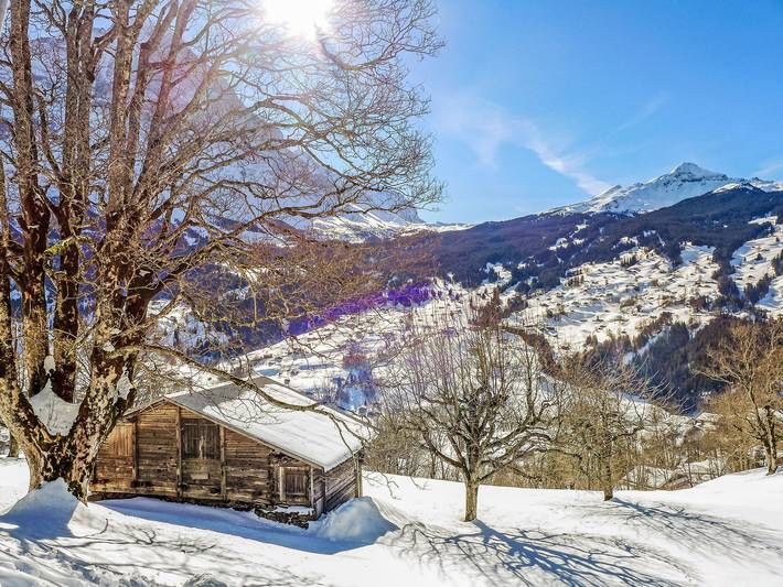Gîte pour 4 personnes, avec jardin et vue à Grindelwald - 2
